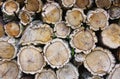 Stack of wood from cork oak