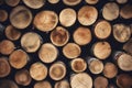 Stack of wood logs in the forest, Woodpile texture background