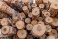 Stack of wood logs. Wood storage for industry. Felled tree trunks. Firewood cut tree trunk logs stacked prepared Royalty Free Stock Photo