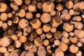 Stack of wood logs. Wood storage for industry. Felled tree trunks. Panorama of firewood cut tree trunk logs stacked Royalty Free Stock Photo