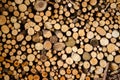 Stack of wood prepared for winter Royalty Free Stock Photo