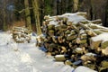 Stack of wood in winter Royalty Free Stock Photo