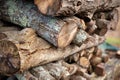 Stack of Wood Royalty Free Stock Photo