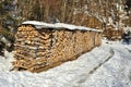 Stack of wood in winter time Royalty Free Stock Photo