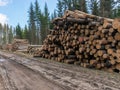 A stack of wooden logs piled on the side of the road