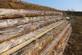 Stack of wooden logs. Timber material