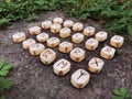 A stack of wooden runes at forest. Wooden runes lie on a rock background in the green grass. Runes are cut from wooden