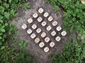 A stack of wooden runes at forest. Wooden runes lie on a rock background in the green grass. Runes are cut from wooden