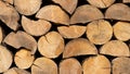 Stack of wooden stumps, tree trunks in cross-section texture wall wallpaper decor background - Wood storage, woods firewood