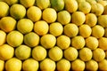 A stack of yellow ripe and sweet lines on the whole screen on the market. Lime and lemons background. Fresh organic lemons and Royalty Free Stock Photo