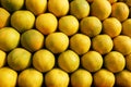 A stack of yellow ripe and sweet lines on the whole screen on the market. Lime and lemons background. Fresh organic lemons and Royalty Free Stock Photo