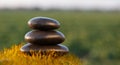 Stack of zen stones on nature background Royalty Free Stock Photo