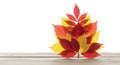 Stacked Autumn Leaves Composition Red Yellow Tones Stacked Arrangement Against White Backdrop Fall Color Harmony Natural Still Royalty Free Stock Photo