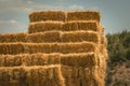 Stacked bales of straw. Yellow hay bale