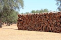 Stacked bark of the cork oak in Alentejo, Portugal Royalty Free Stock Photo