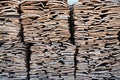 Stacked bark of cork oak Royalty Free Stock Photo