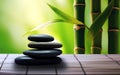 stacked black stones next to bamboo and lily pads, in the style of minimalist backgrounds
