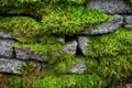 Stacked block garden wall covered in vibrant green moss