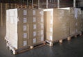 Stacked of cardboard boxes wrapped plastic film on pallet rack. Cargo shipment boxes. Warehouse storage. Manufacturing warehousing Royalty Free Stock Photo