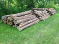 Stacked cedar logs Royalty Free Stock Photo
