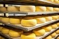stacked cheese rounds in a climate-controlled room