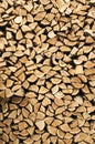Stacked coak firewood closeup