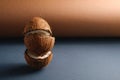 Stacked coconut fruits on brown and blue grey folded paper background, abstract food tropical concept