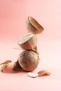 Stacked Coconut Meat and Coconut Shell on Pink Background