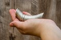 a lot of coins in the female hand Royalty Free Stock Photo