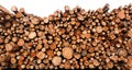 Stacked cut raw timber wood logs Royalty Free Stock Photo