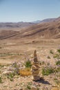 Stacked desert stones and spectacular wild flowers bloom in a desert landscape Ramon Crater, in the Negev desert , Israel Royalty Free Stock Photo