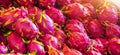 Stacked from dragon fruit exotic or pitahaya fruit in a Turkish market. Banner format size Royalty Free Stock Photo