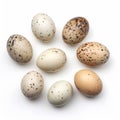 Quail Eggs: Mismatched Patterns And Life-like Avian Illustrations