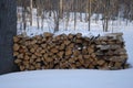 Stacked fire wood pile in winter