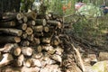 Stacked firewood as background, closeup. Heating house in winter