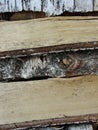 Stack of firewood, wood logs texture background.Pile of chopped fire wood prepared for winter