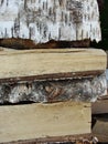 Stack of firewood, wood logs texture background.Pile of chopped fire wood prepared for winter