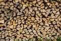 Stacked firewood on grass Royalty Free Stock Photo