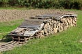Stacked firewood left to dry in the field covered with large roof tiles and wooden pallets surrounded with uncut grass