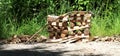 stacked firewood ready for a great fire Royalty Free Stock Photo