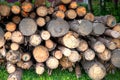Stacked firewood texture background showing neatly arranged cut wooden logs Royalty Free Stock Photo
