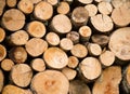 Stacked firewoods. Royalty Free Stock Photo