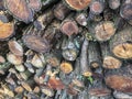 Background wiht stacked firewoods Royalty Free Stock Photo