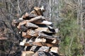 Stacked Fresh Cut Firewood Royalty Free Stock Photo