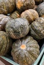 Stacked green pumpkins on sale Royalty Free Stock Photo