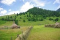 Stacked hay Royalty Free Stock Photo