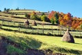 Stacked hay Royalty Free Stock Photo