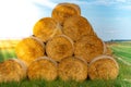 Stacked hay bales after harvest at the edge of the field with sun rays. Dry straw pressed into individual straw bales Royalty Free Stock Photo