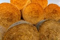 Stacked hay bales after harvest at the edge of the field with sun rays. Dry straw pressed into individual straw bales Royalty Free Stock Photo