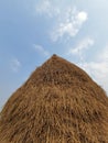 Stacked hay in Nepal . Blue clear sky. Preserving food for offseasons. Farming